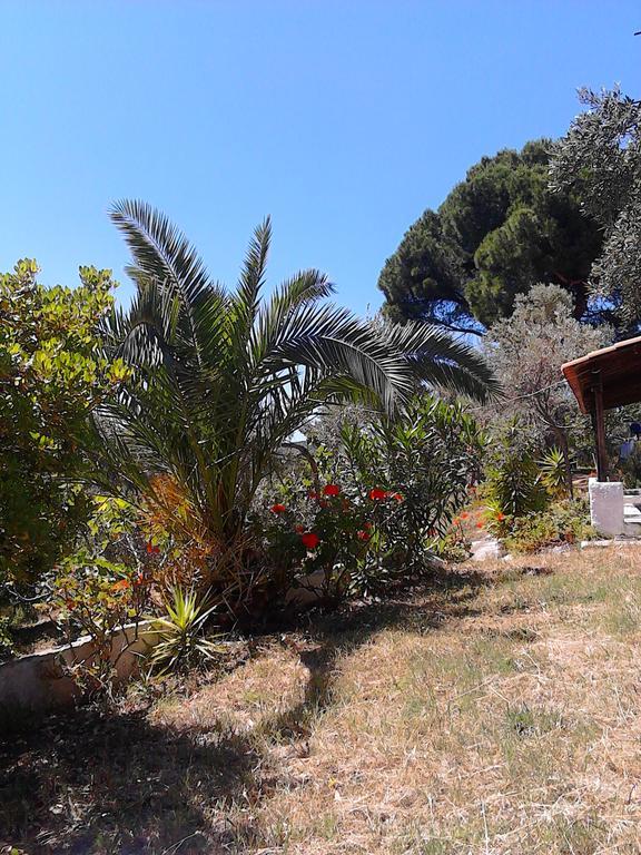 Anemos Studios Vasilias  Dış mekan fotoğraf